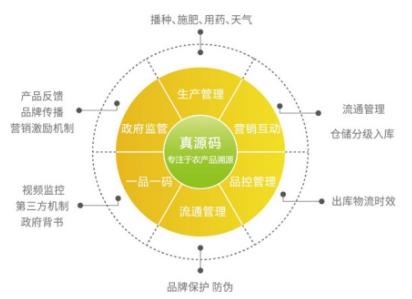 社会信用体系概述